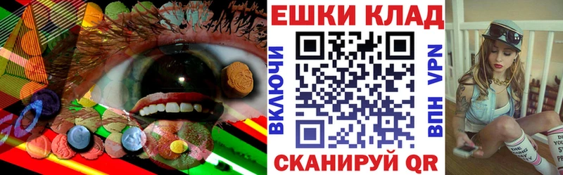 omg рабочий сайт  что такое   Щучье  Экстази диски 