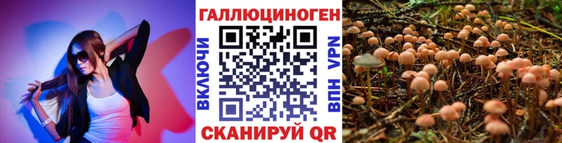 Псилоцибиновые грибы GOLDEN TEACHER  сколько стоит  Щучье 